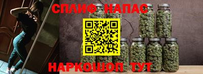 прущие крисы Дубна