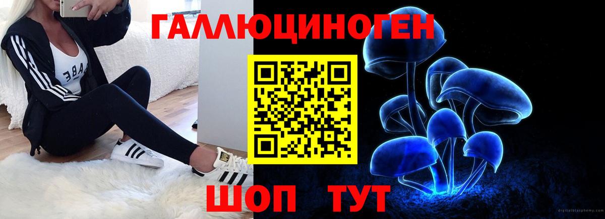 Магнитогорск  Галлюциногенные грибы MAGIC MUSHROOMS  Псилоцибиновые грибы Cubensis  Вход с VPN 